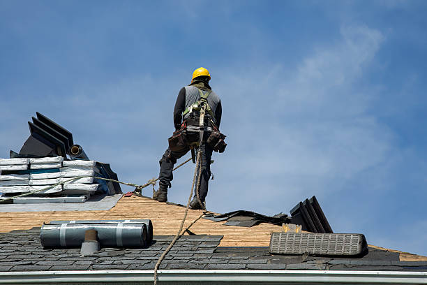 Professional Roof Replacement technician working in Loami, IL